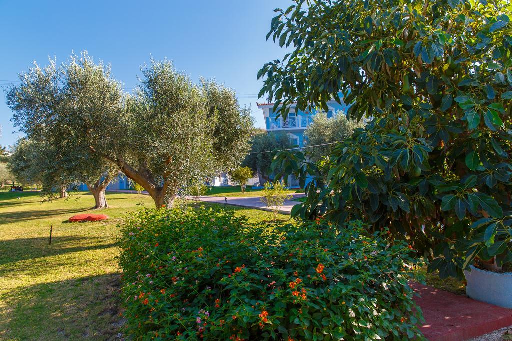 Filoxenia Apartments & Studios Theológos Exteriör bild
